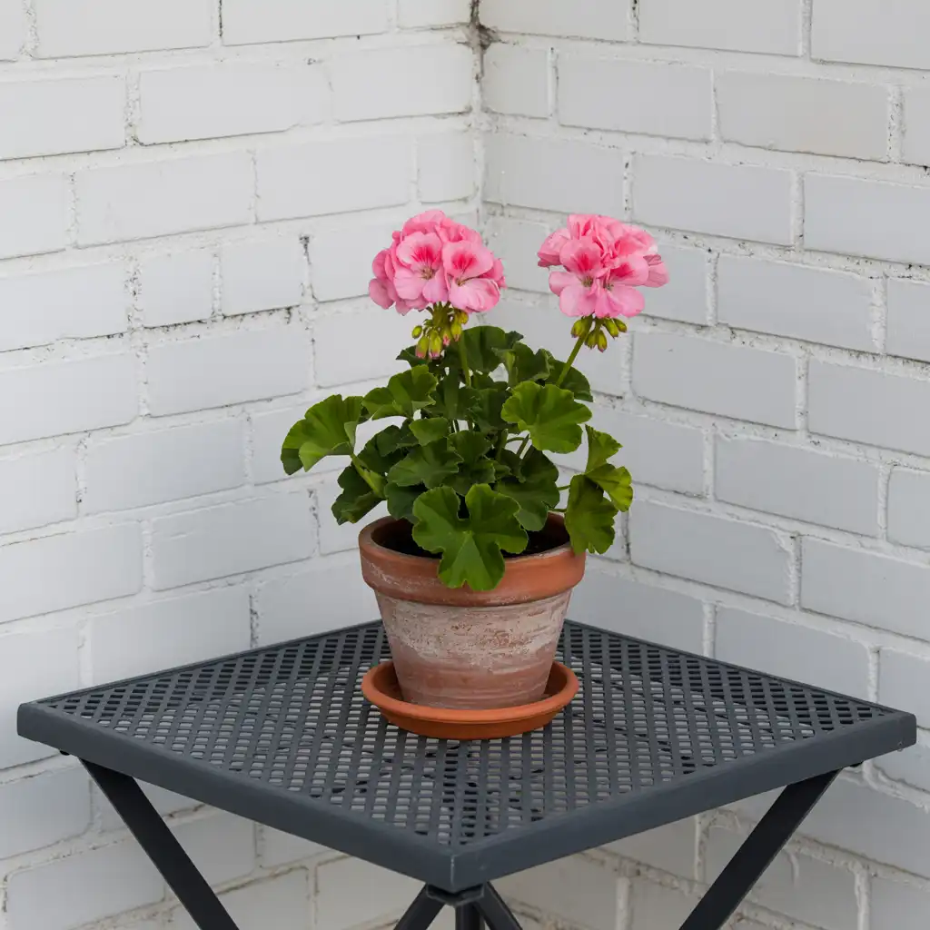 Maak van jouw balkon een buitenparadijs met de perfecte balkonset